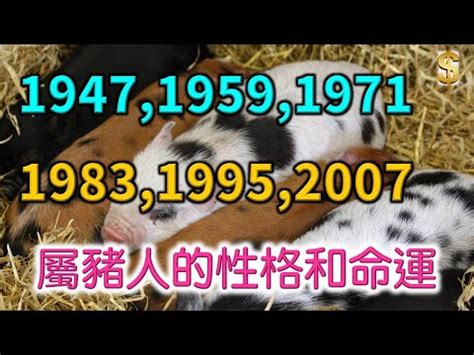 屬豬座像|【屬豬座像】想知道你適合哪種樓層住家？屬豬座的秘密方位大公。